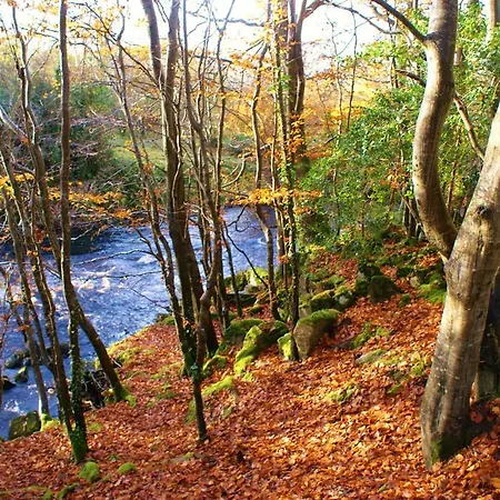 Apartman Millbrae Townhouse