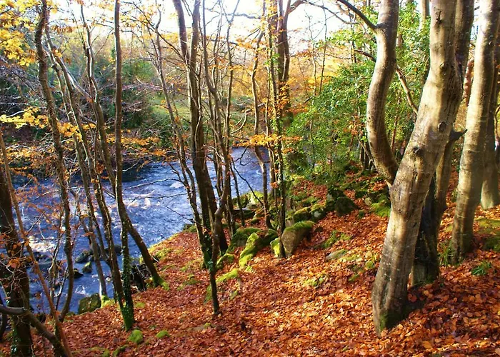 דירה Millbrae Townhouse