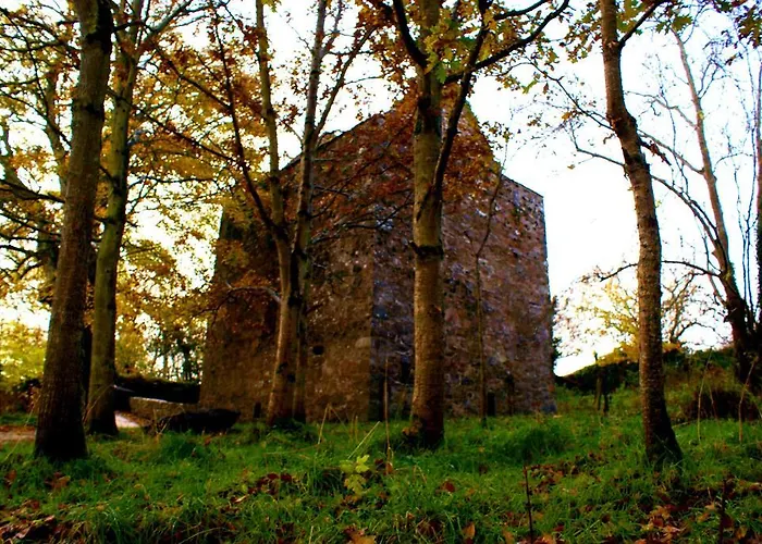 Millbrae Townhouse * בונקראנה